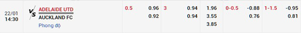 Tỷ lệ Adelaide vs Auckland