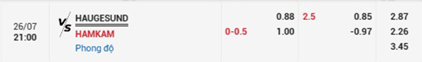 TL Haugesund vs HamKam
