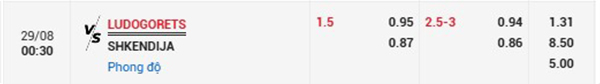 Tl Ludogorets vs Shkendija